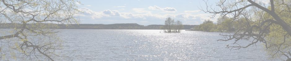 Morgondis.se