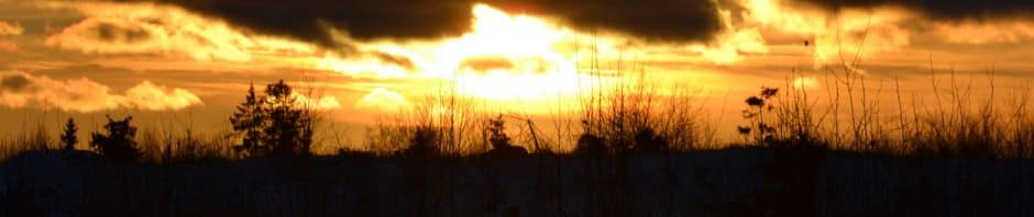 Morgondis.se